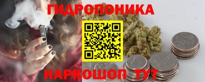 кокс Аша