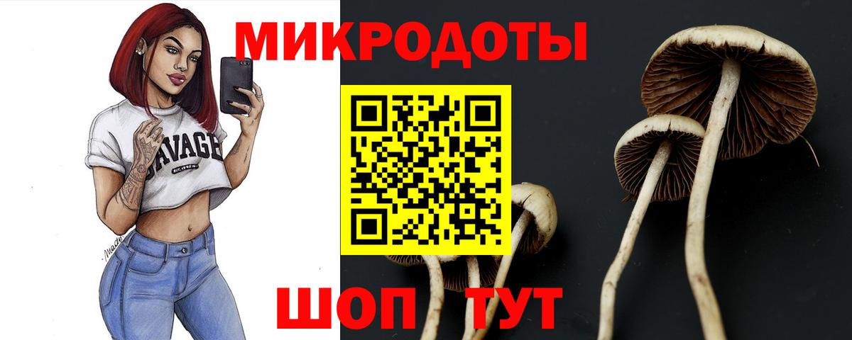 Чистополь  Галлюциногенные грибы мухоморы  Вход с VPN  Галлюциногенные грибы Psilocybe 